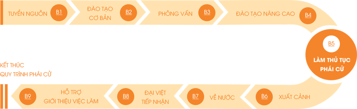 Quy trình phái cử size:1175 x 361